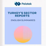 Turkiye's sector reports-English summaries