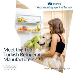 Top Turkish Refrigerator Manufacturer