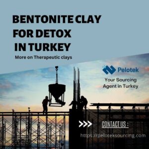 Bentonite Clay for detoxifying the body
