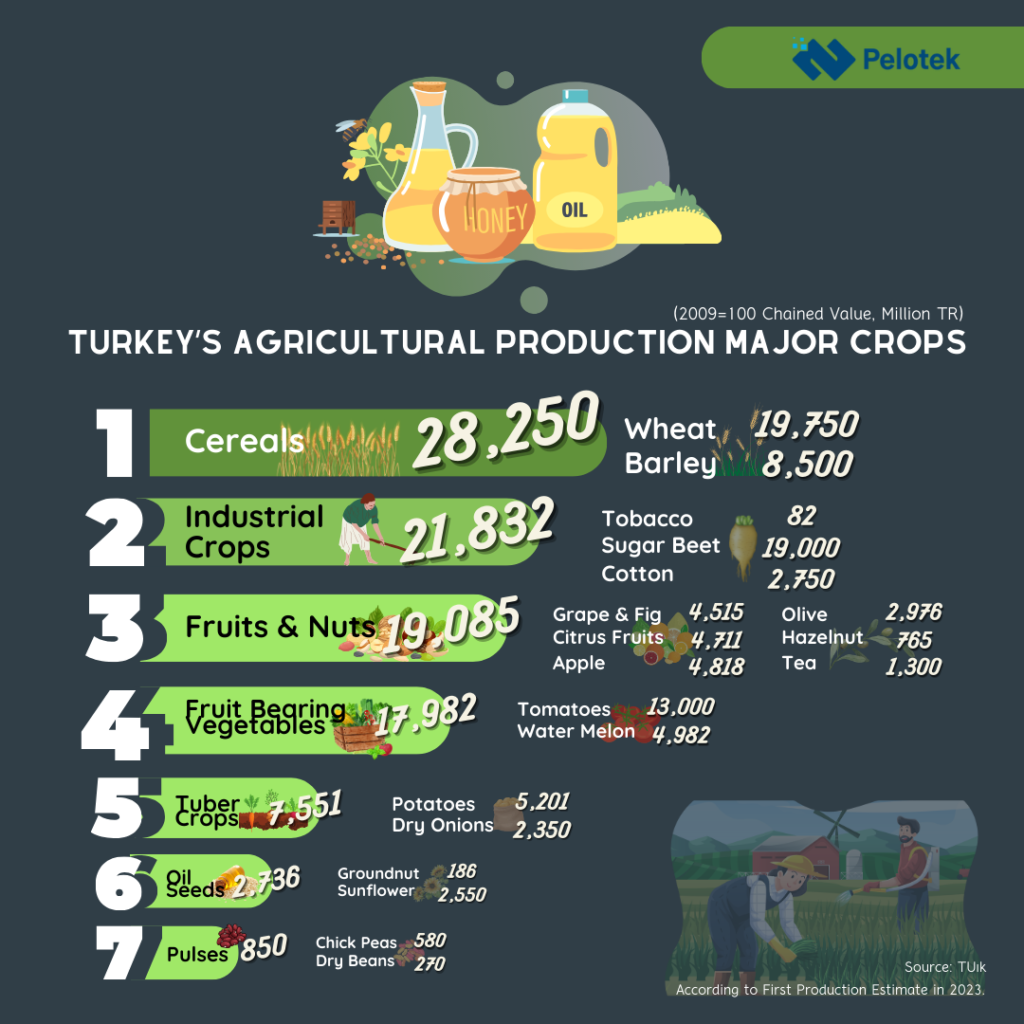 Turkish agricultural production